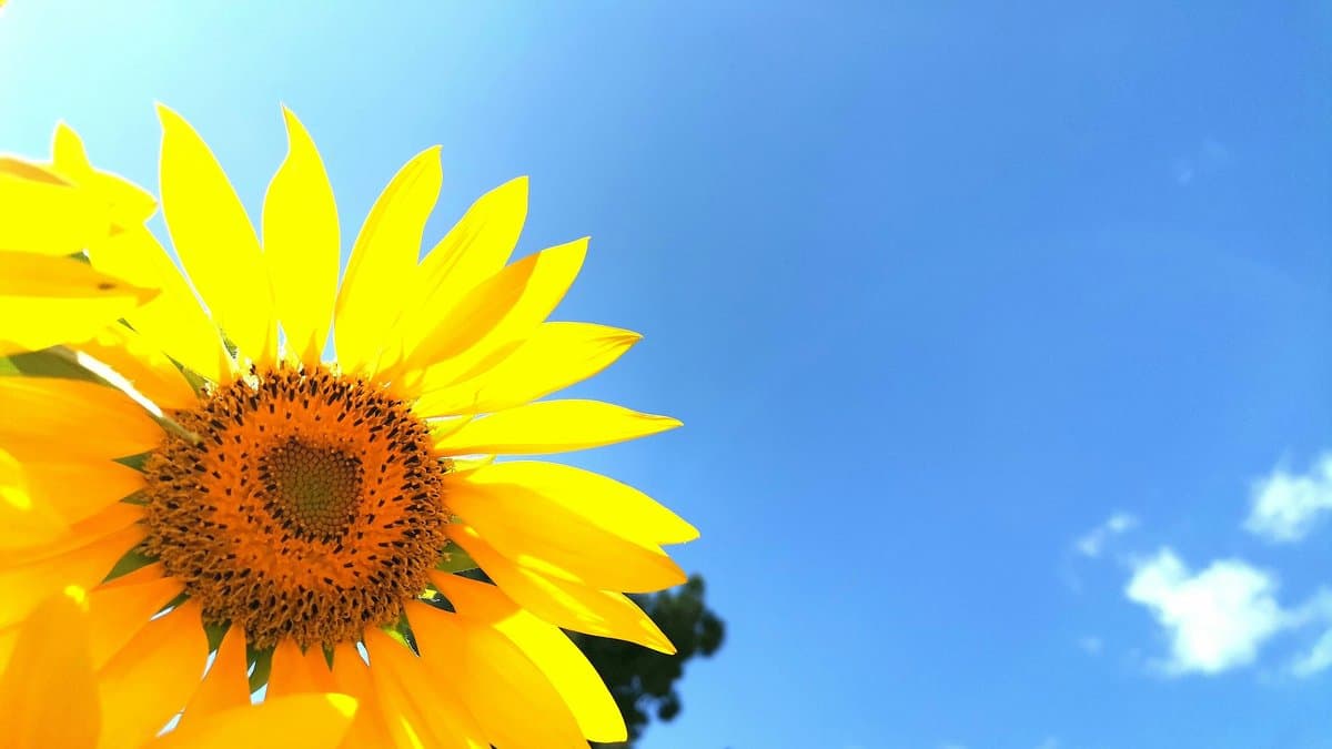 Encouraging Bible Verses